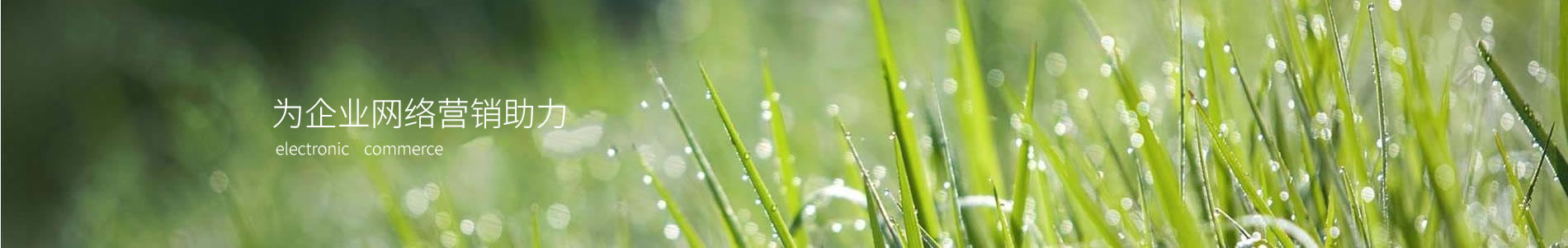 ˮҳд˽ֳ